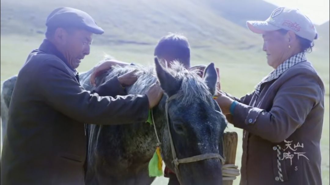 忘记那些不堪回首的人和事,忘记那些心酸的往事