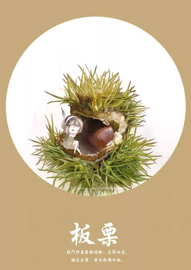 风物特产推介,湖北罗田大红袍板栗