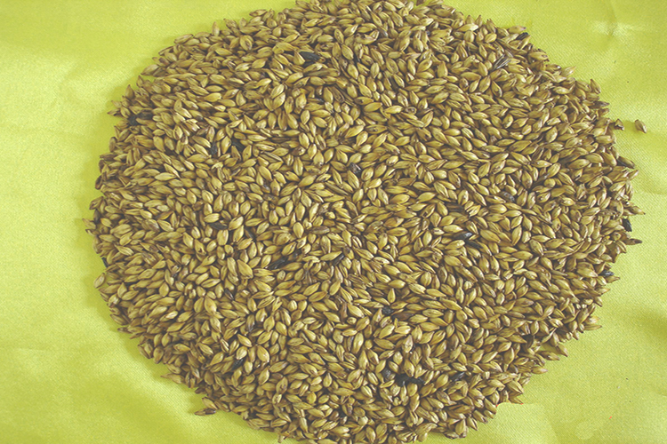 野河大鲤窝料配方大全,青鱼窝料配方野钓自制