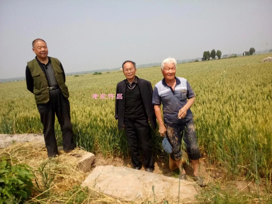 唐太宗李世民为何亲自为襄城县此村赐名？