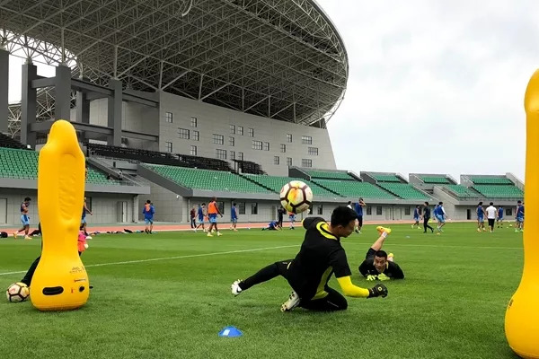 足球场是天然草还是人工草好,足球场天然草用什么草种