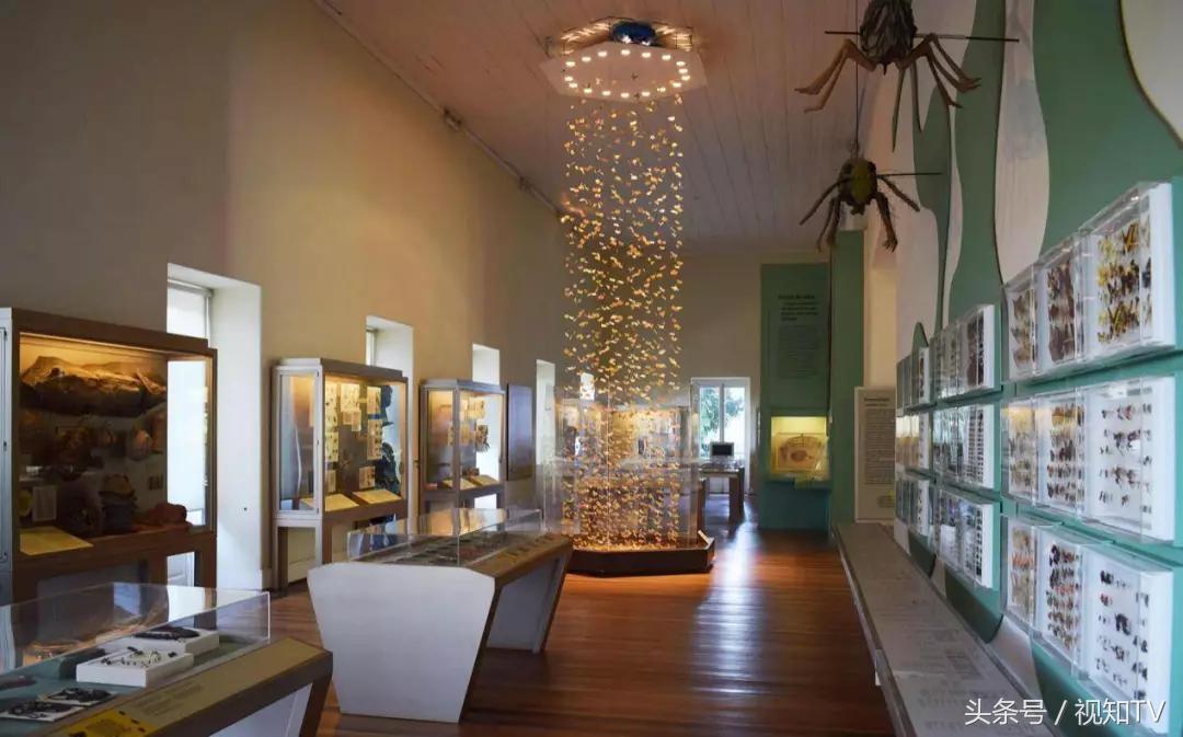 巴西国家博物馆火灾原因有哪些,巴西博物馆遭大火镇馆之宝