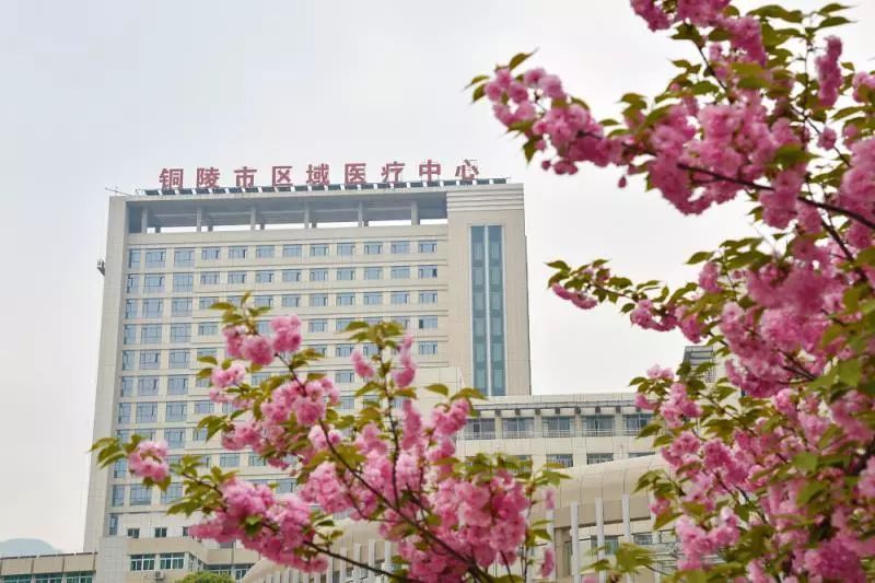 铜陵市人民医院1年的收入,铜陵市人民医院是否达到三甲