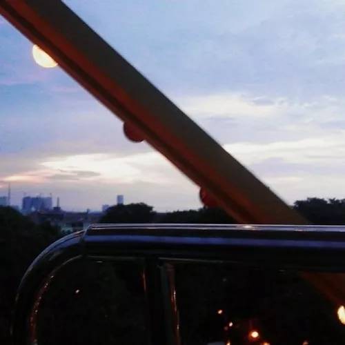 畅游书海感受什么,畅游书海推荐