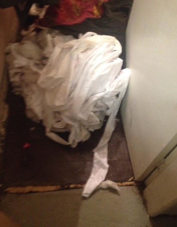 狗狗在妈妈面前被「宠物床」杀死，饲主几乎崩溃：千万不要买这种