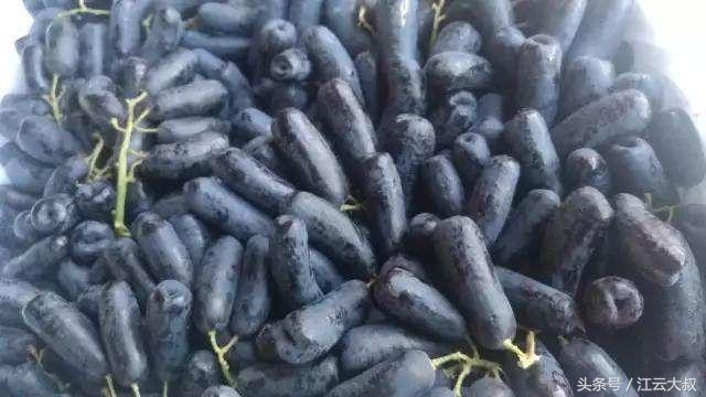 4种难得一见的最独特水果,极为罕见的6种水果有哪些