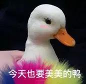 小丸子的真实面貌,小丸子真实故事原型