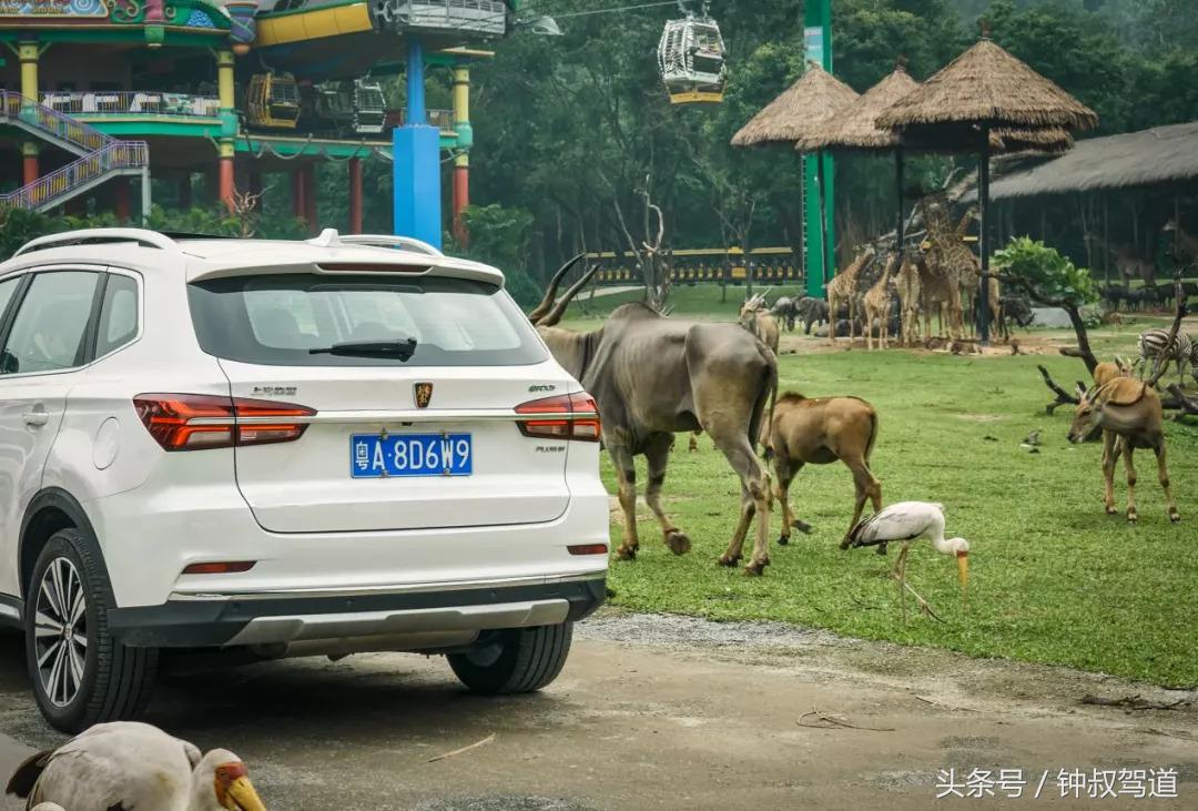 叔情｜在动物的乐园里，我们更理解了环保的意义！