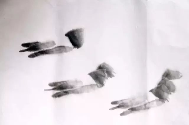 简单方法画虾,怎样画虾教学视频