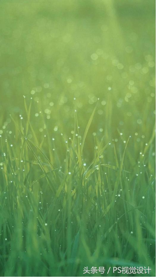 苹果手机历代菊花壁纸超清4k原图,历代ios壁纸超清原图