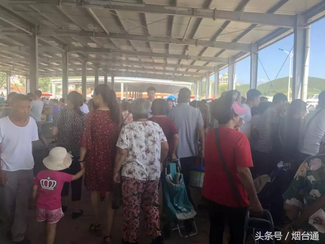 烟台开海现场直播视频,开海现场视频直播