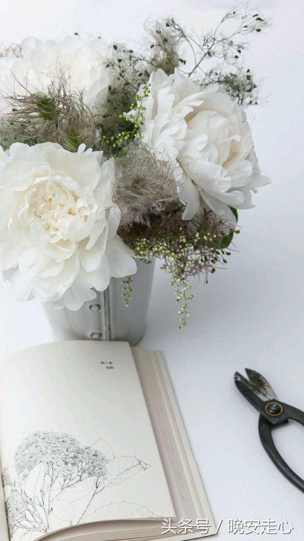 你狠狠摔倒过,就知道擦破皮不值得哭