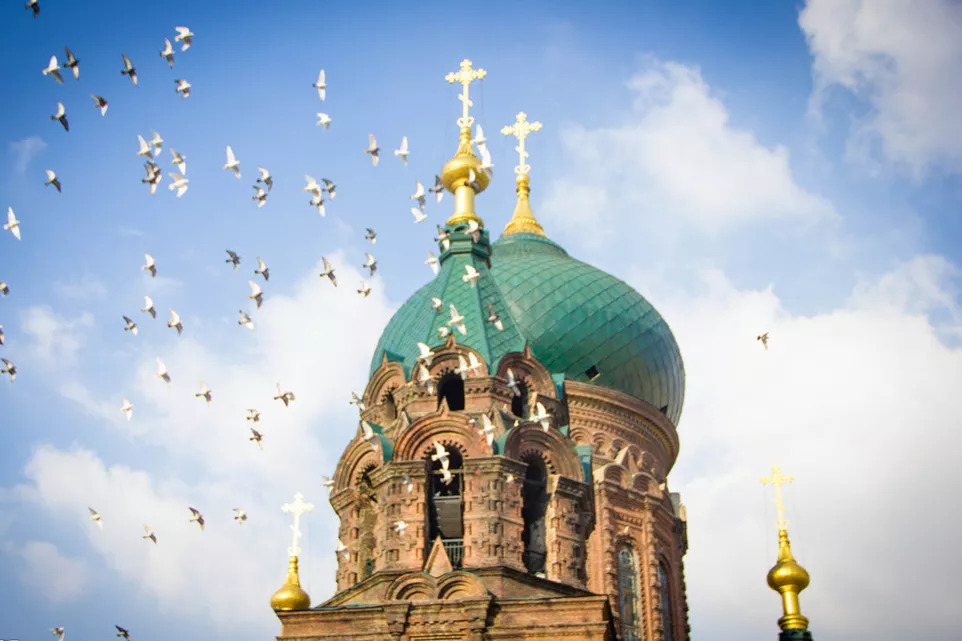 上海飞九月的机票是多少钱,9月29号上海到日本飞机票价格