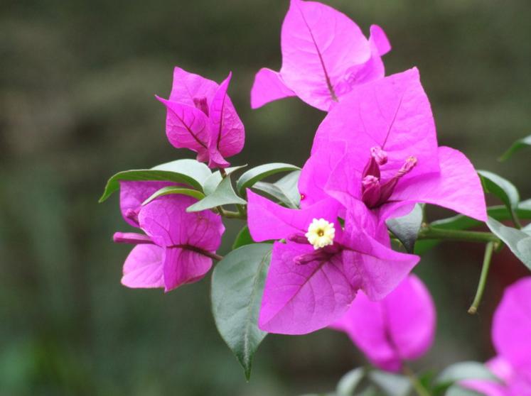 福州马尾区道路景观提升，打造秀美闽江生态之城