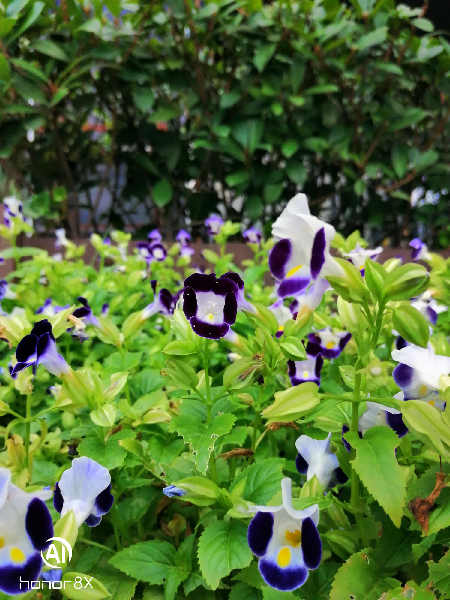 荣耀8x上手评测千元霸屏名不虚传,荣耀八魅海蓝