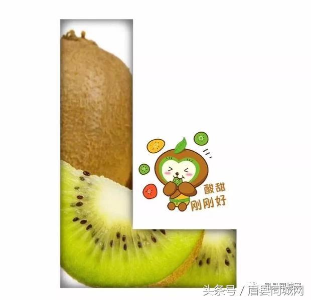 眉县猕猴桃消息,眉县猕猴桃真实故事