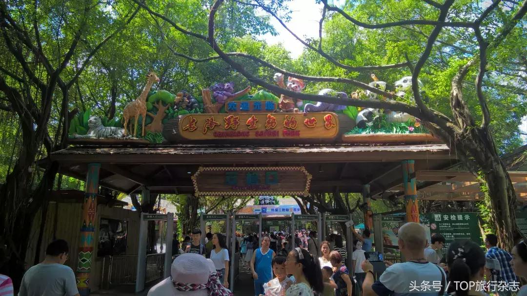 开着车到野外然后看见大象在迁徙,开着皮卡车去寻宝