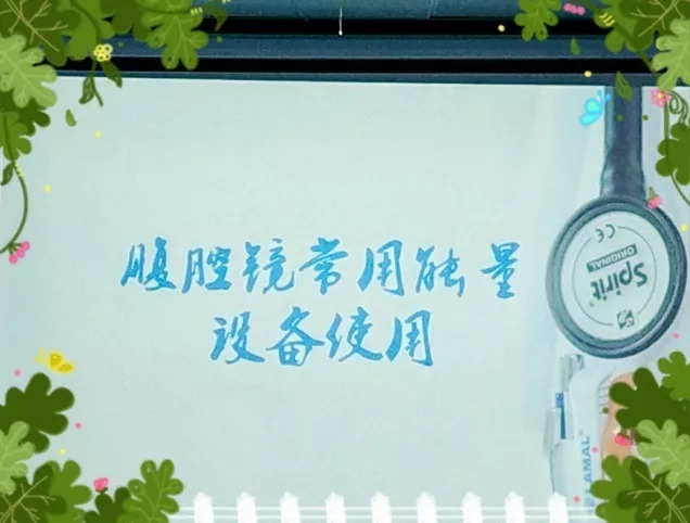 东院妇产科“第八届淮海经济区妇科肿瘤腔镜治疗研讨班”举办