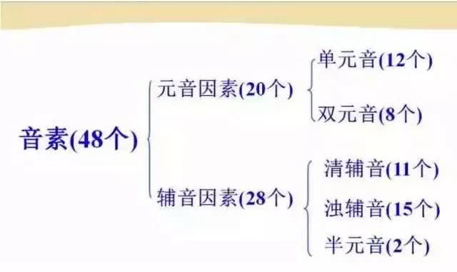 英语48个音标发音详细教程,英语48个音标的正确发音和技巧