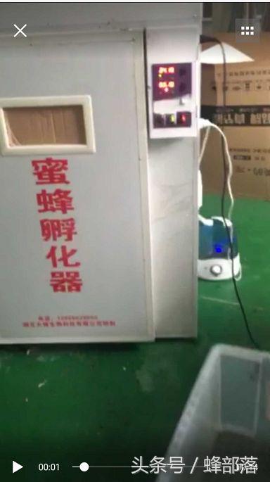 养蜂人专用驱蜂器,养蜂高手发明神器