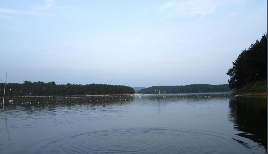 定远县名将,安徽定远古代名人