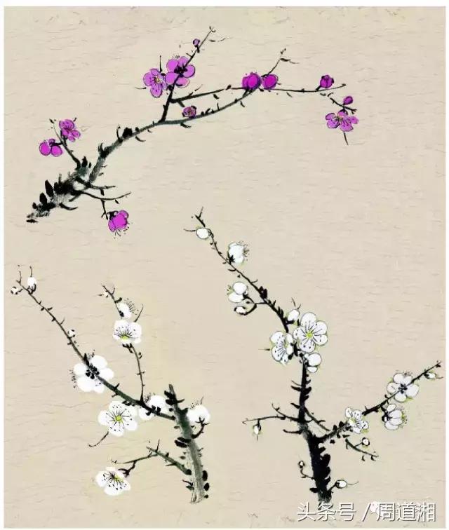 梅花花朵的国画画法视频,大写意梅花枝干国画画法