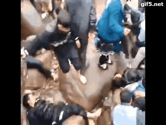 开车挖鼻孔被罚200元记3分,开车挖鼻屎被罚款扣分的依据