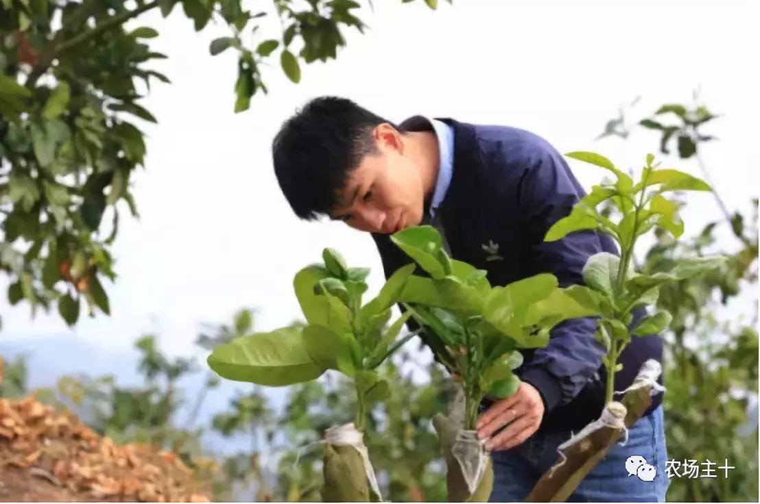 抖音、直播、黑科技，90后“新农人”这样玩转果园！