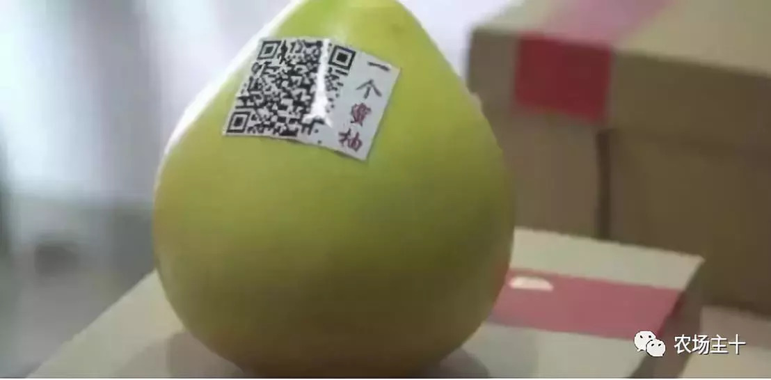 抖音、直播、黑科技，90后“新农人”这样玩转果园！