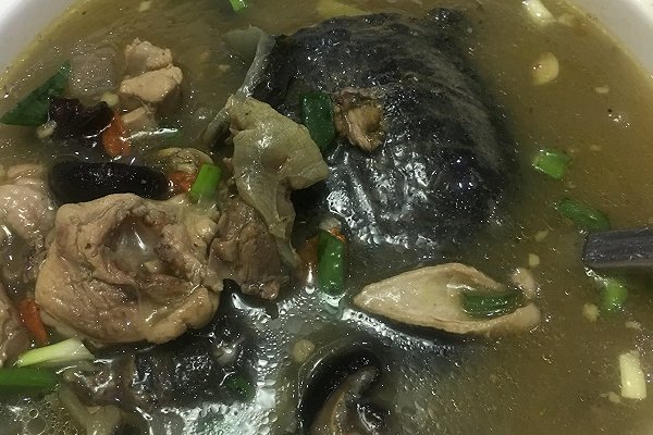 冬天甲鱼怎么样放才不死,这个季节甲鱼适合怎么吃