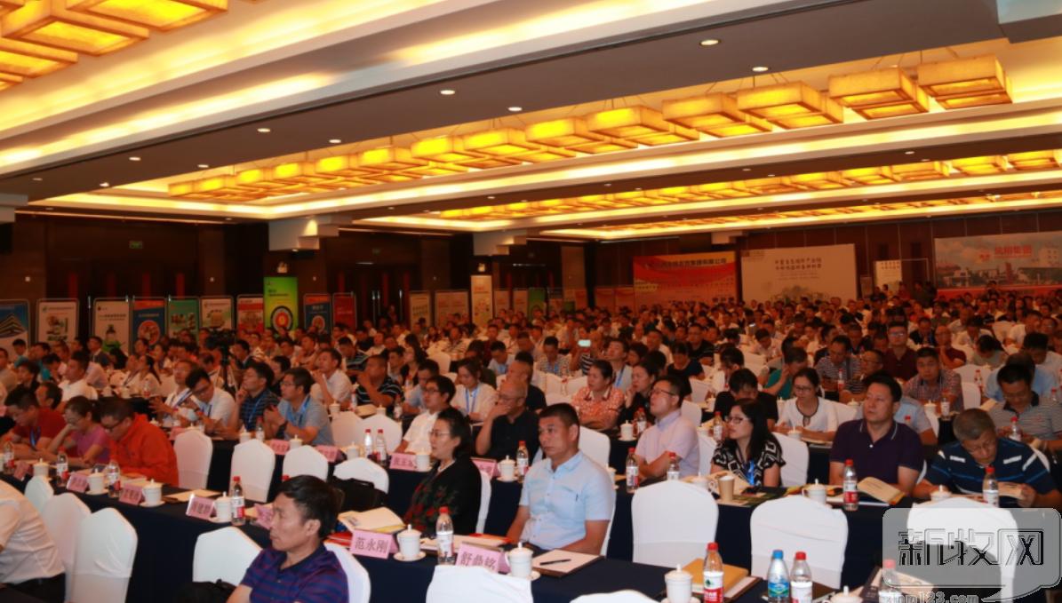 鸡球虫病最新诊疗方案,鸡球虫病和血痢怎么区分