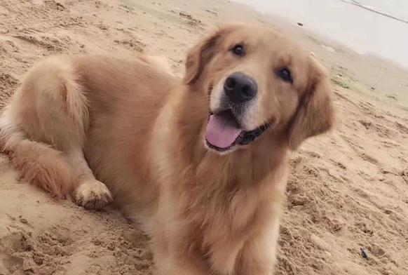 嫌拼车空调不凉女子被司机扔服务区;快递员撞人后蜗居帐篷365天