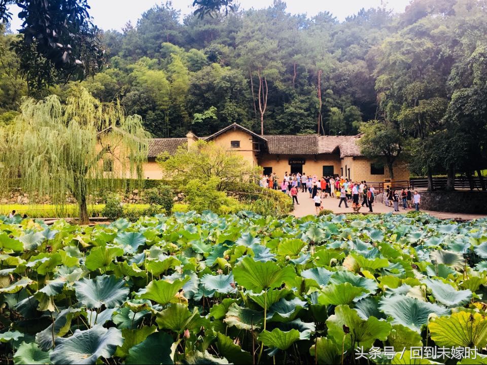 韶山升起太阳,韶山红旗升起的地方