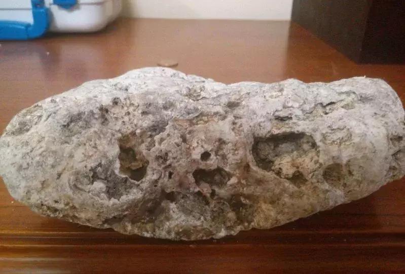 沉檀龙麝四大名香的功效,4大名香沉檀龙麝分别是什么