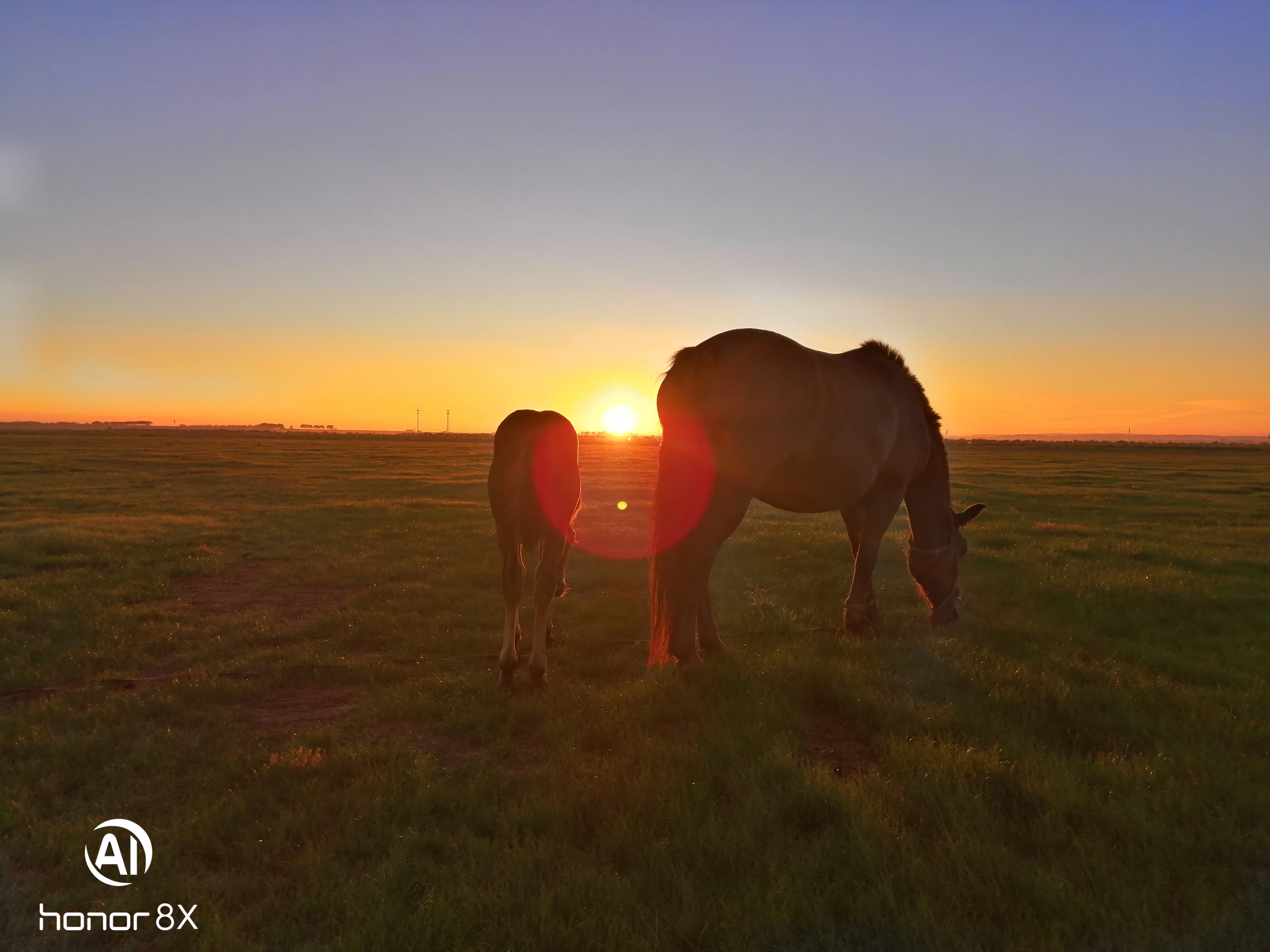 荣耀8x128gb官网价格,荣耀8x256g官方价