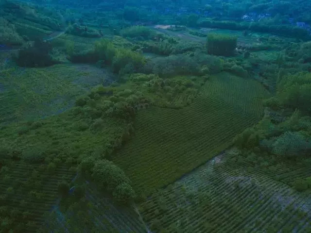 溧阳最美民宿十佳排名,溧阳青峰九间堂民宿优惠
