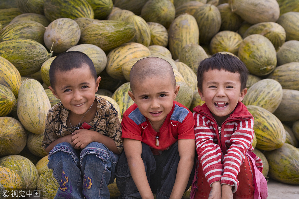 一次偶然，铸就永恒，十年驴龄的他“长存”于此-乌孙驴行记