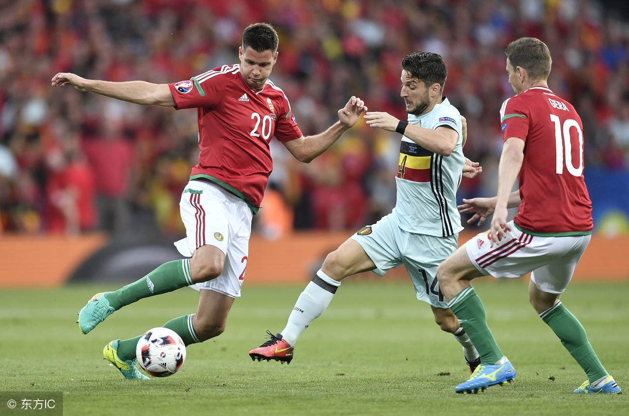 冰岛欧洲联赛第一,冰岛夺得欧洲杯