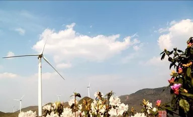 荔浦为什么会撤县设市,荔浦有可能撤县设市吗