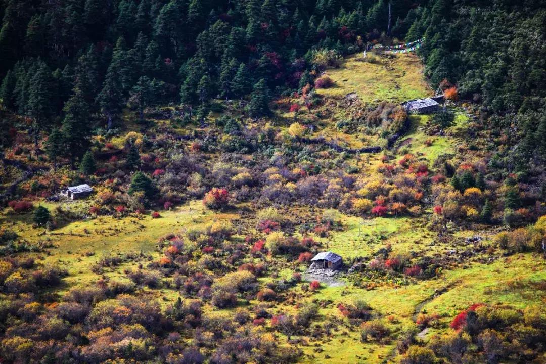 生活很苦不如出来走走,生活很苦想出去走走