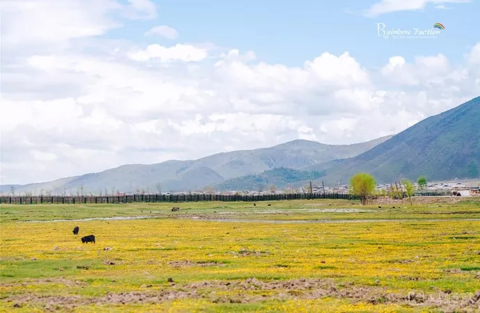 这些绝美小黄片,已经陆续在全国上线,找个时间去扫黄吧