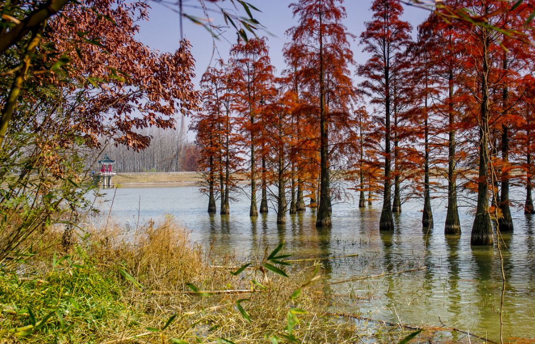 这些绝美小黄片,已经陆续在全国上线,找个时间去扫黄吧