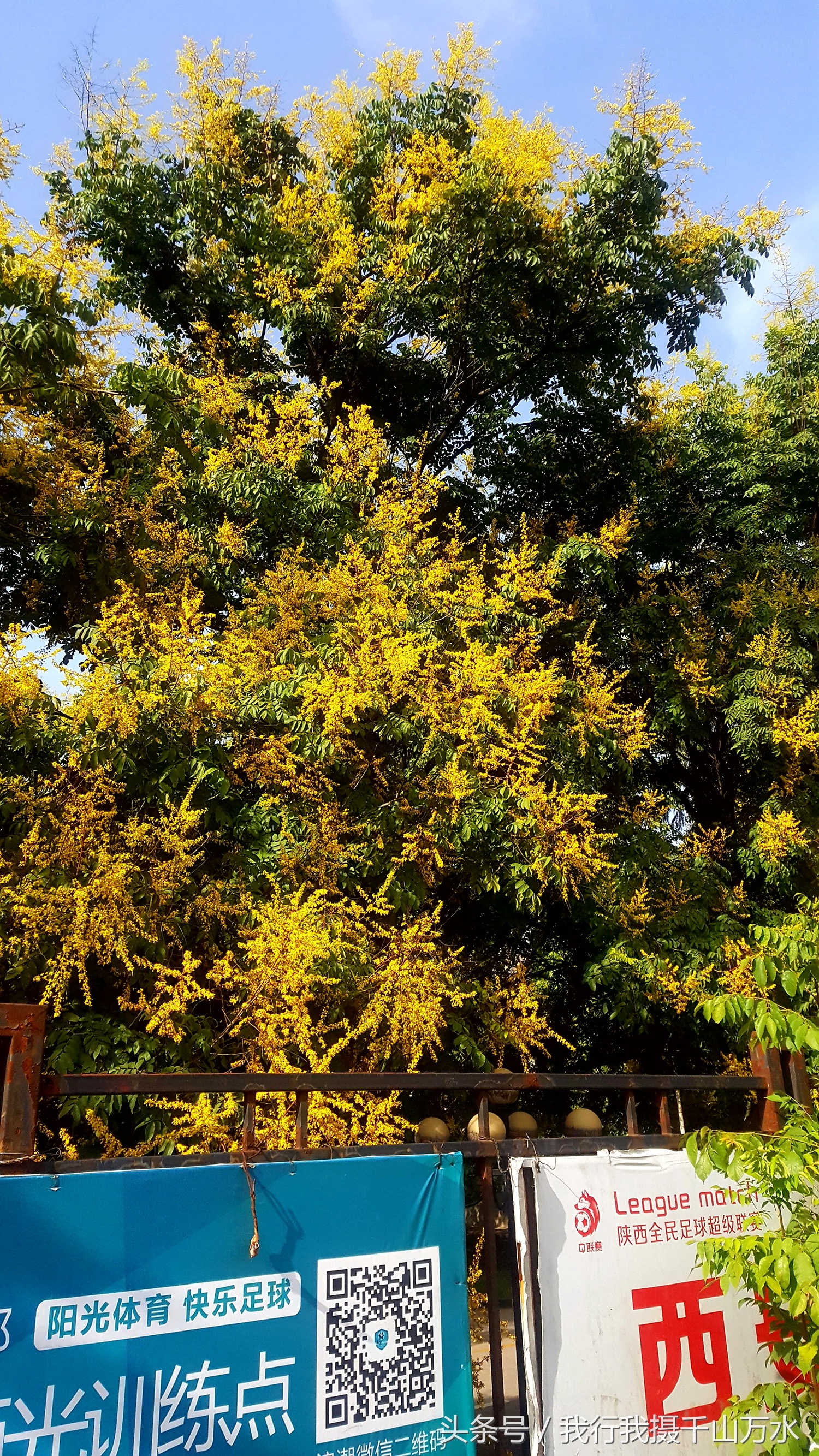 民间健身及尽享足球之乐的好场所——西安西光厂体育场