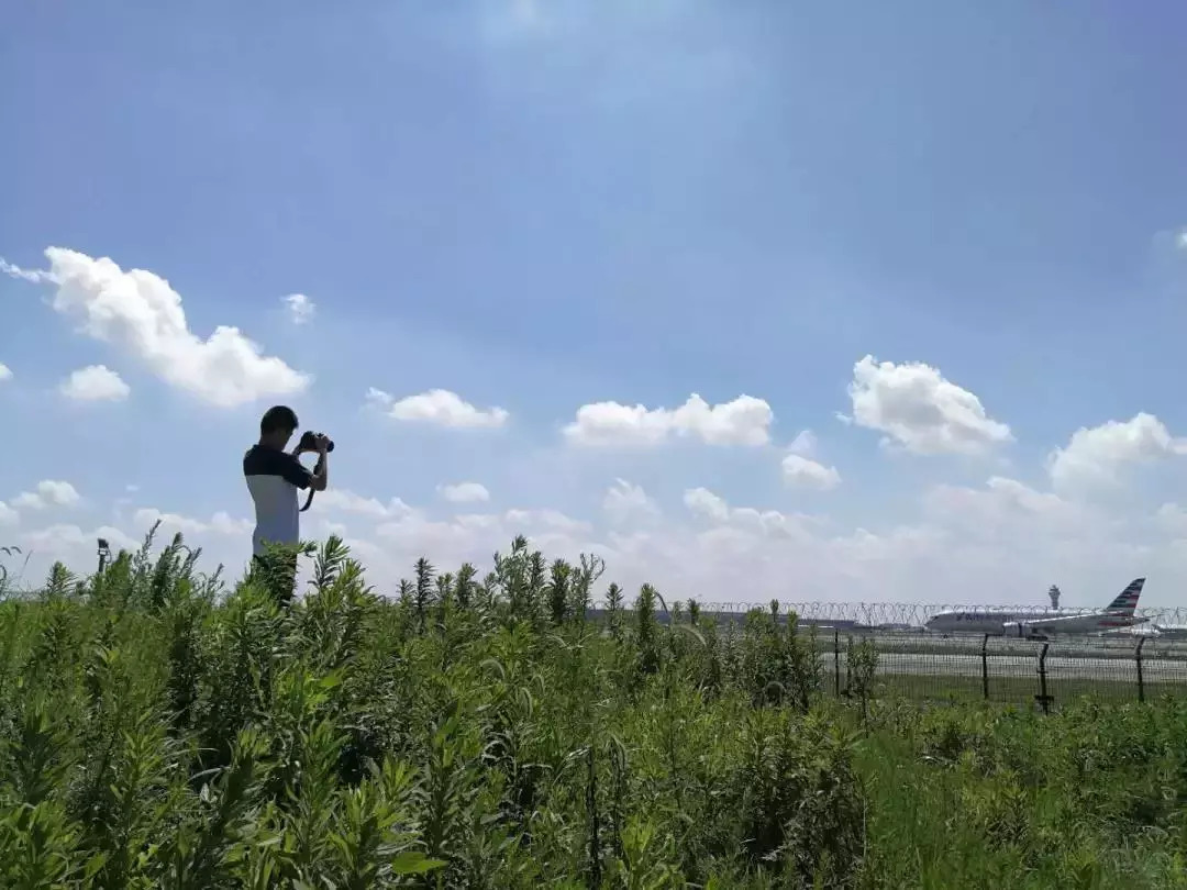 梅西校运会,梅西足球界天之骄子