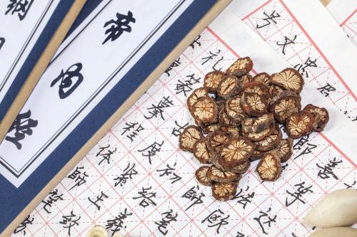 《黄帝内经·素问》对照参考译文——第28通评虚实论篇