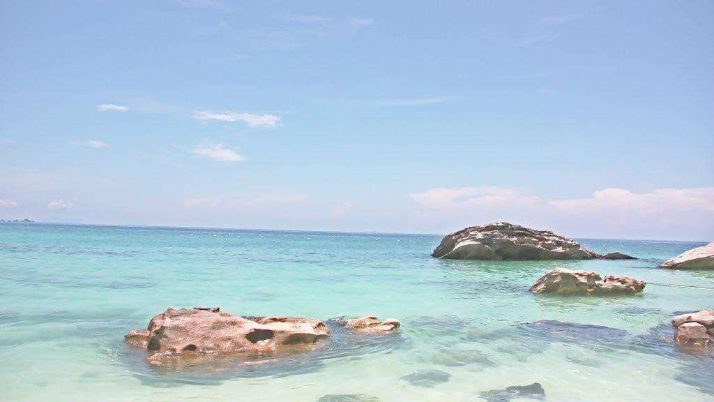 英语小白出国,英语小白出国旅游要做什么