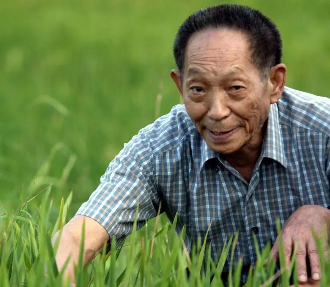 早啊新闻来了语音版,早啊新闻来了手机版怎么下载