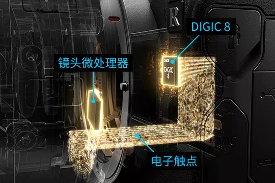 佳能eosr与r6有何区别,佳能eosr实操