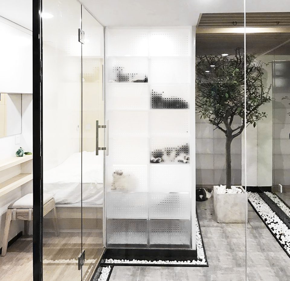 猫屋和主人屋一个房间,一只猫咪6平米玻璃猫屋设计