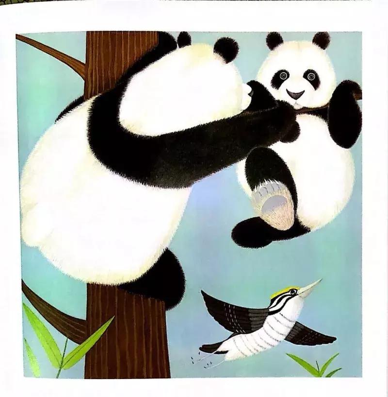 最近流行适合女性的一套书,平价颜值又高容量大的书